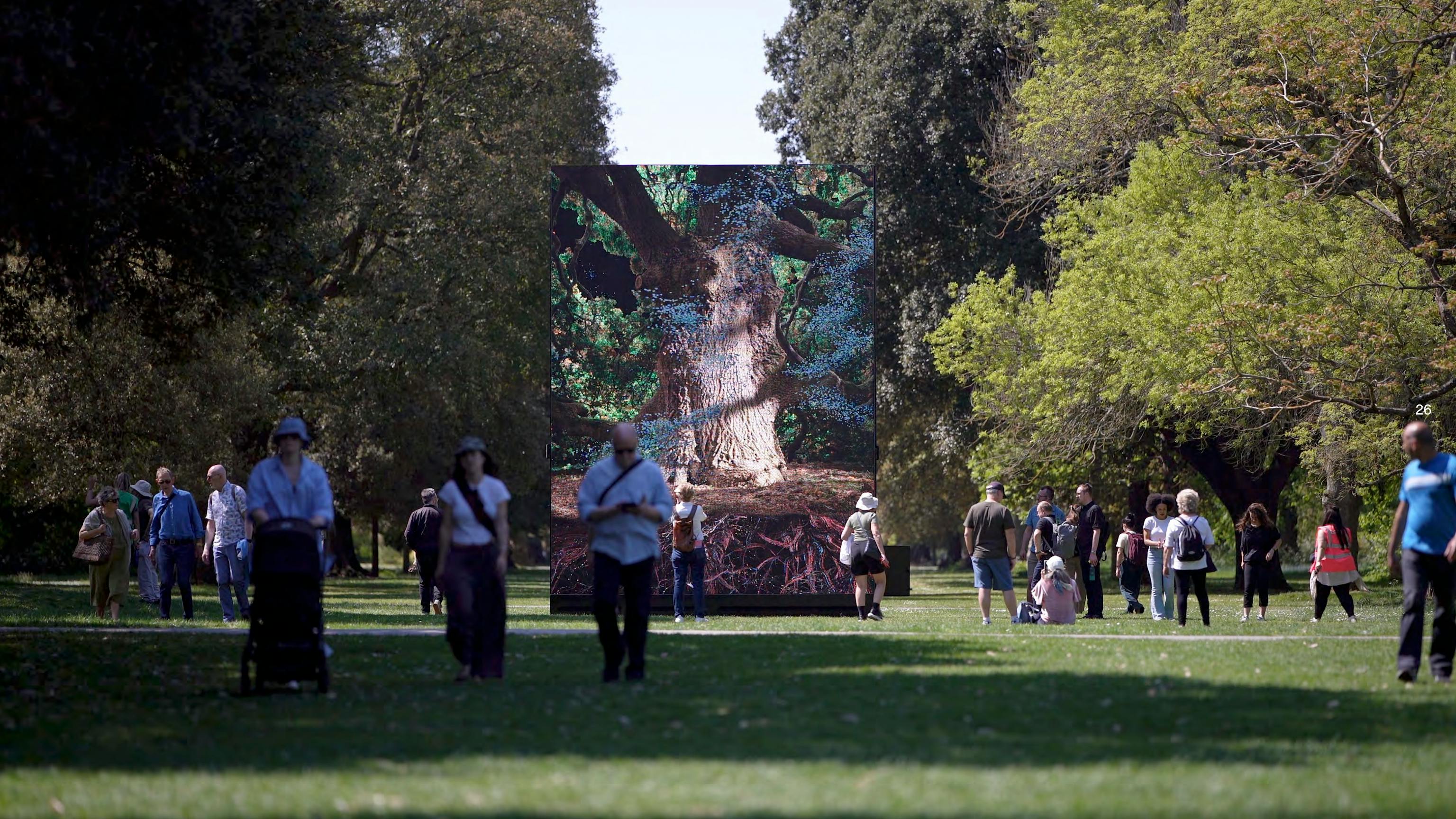 MLF Neuroaesthetics and biomimicry 02 1